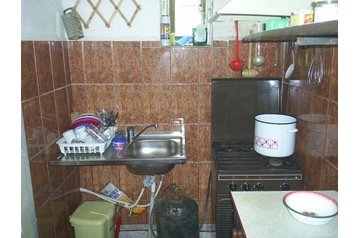 Rumānija Privát Straja, Eksterjers